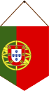 flag qi - portuguese