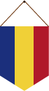 flag qi - roumain